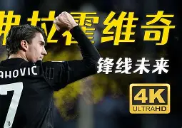 九游娱乐官方-关于斯图加特主帅复盘备战英超AC米兰赛后豪取连胜之后，清晨上海久事战术微调的信息